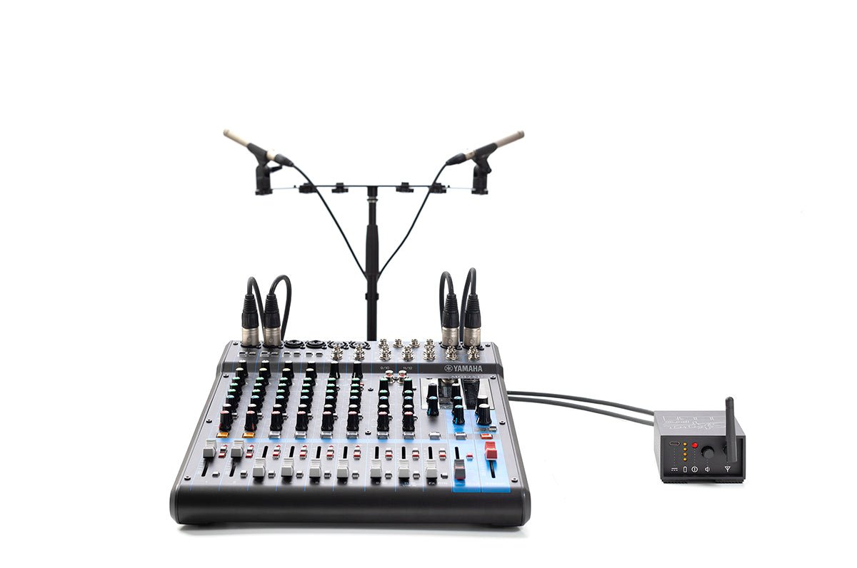 Dillinger SKAA Pro Transmitter - Dani