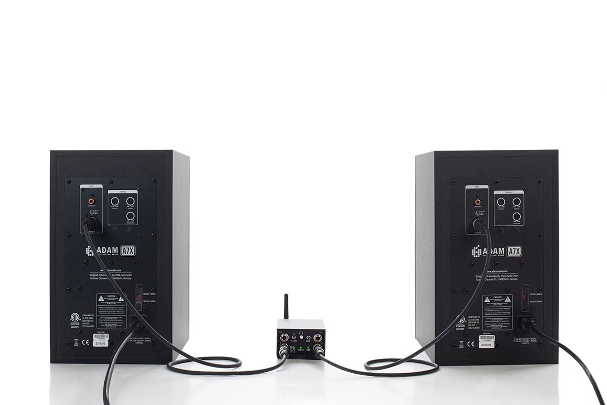 Dillinger SKAA Pro Receiver - Streetheart